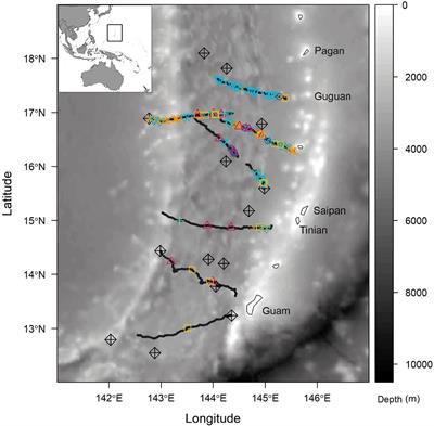 An Acoustic Survey of Beaked Whales and Kogia spp. in the Mariana Archipelago Using Drifting Recorders